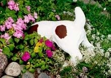 digger_flowers_thumb