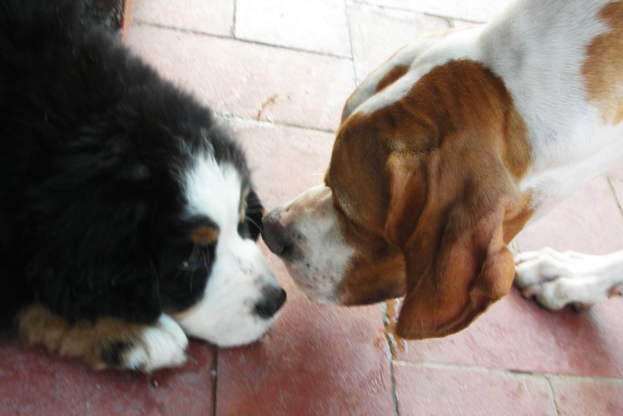Gea&Mike