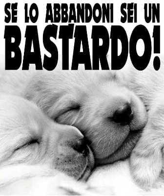 bastardo1hv6