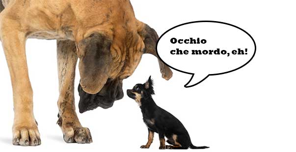 grandepiccolo_aper