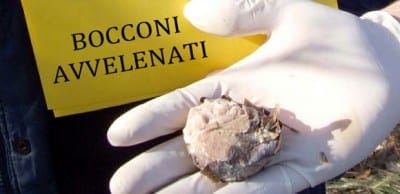 bocconi_ev