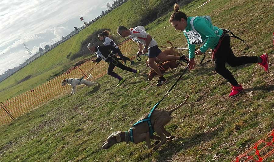canicross-apertura